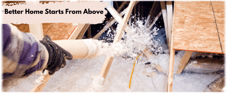 Attic Cleaning Miami Lakes